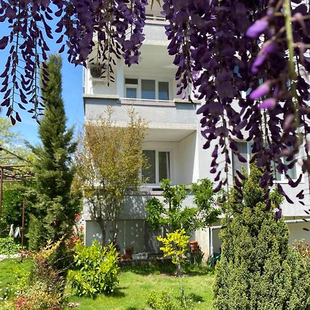 Family Hotel "May" Petritj Exteriör bild