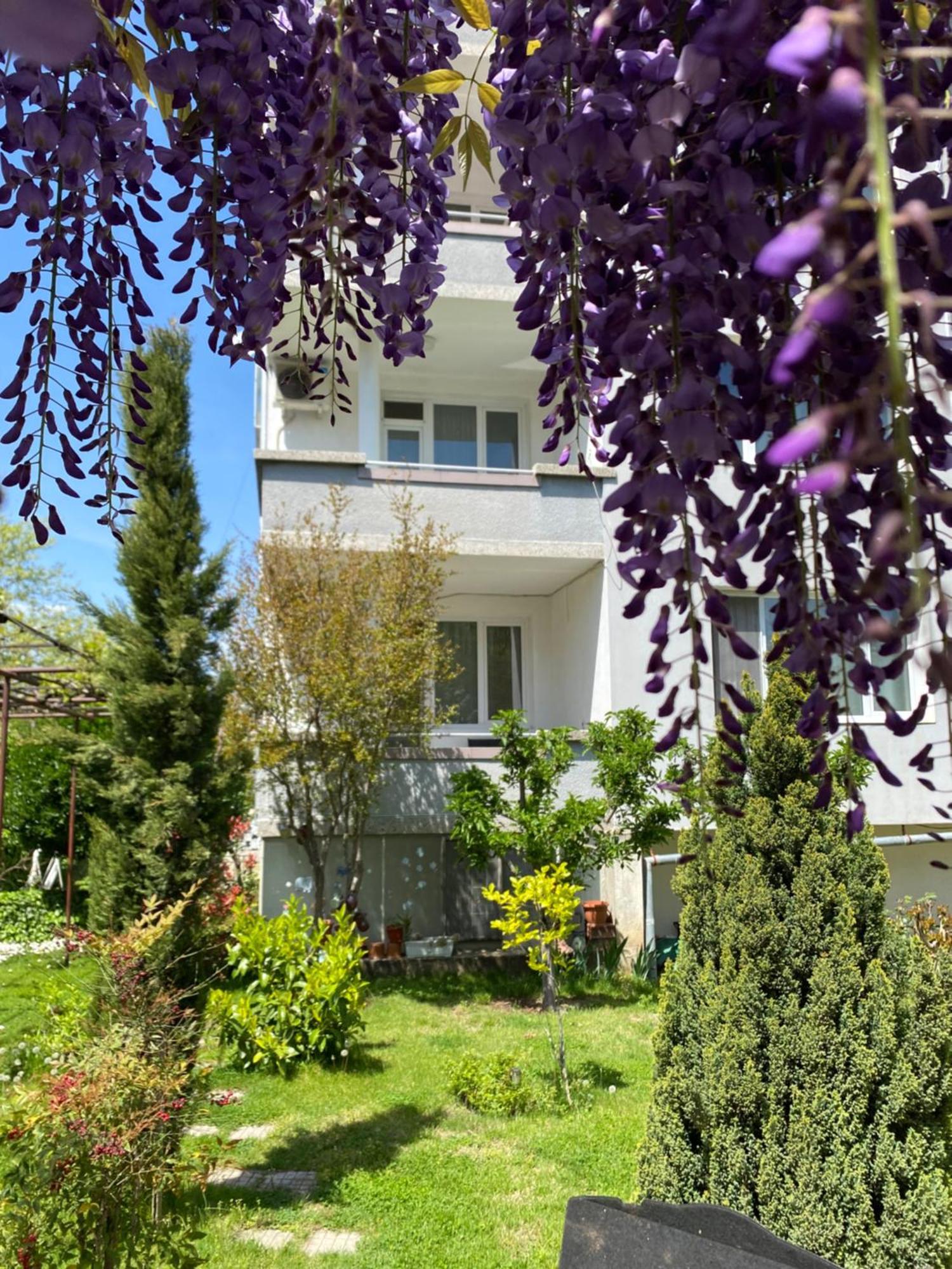 Family Hotel "May" Petritj Exteriör bild